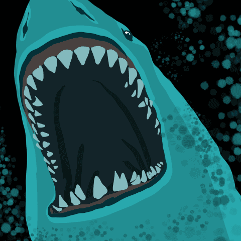shark_bite